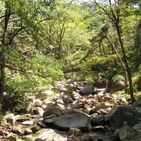 Seoul, Goyang, Naesosa Temple – foto 187