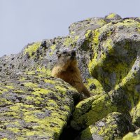 Nízké Tatry, Slovenský ráj – foto 40