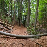 Nízké Tatry, Slovenský ráj – foto 61