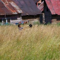 Nízké Tatry, Slovenský ráj – foto 79