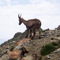 Mt. Blanc – foto 65