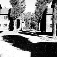 Polsko – foto 5