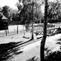 Polsko – foto 6