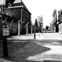Polsko – foto 8