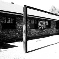 Polsko – foto 13