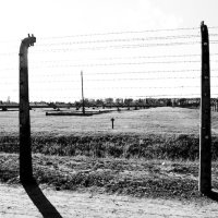Polsko – foto 17