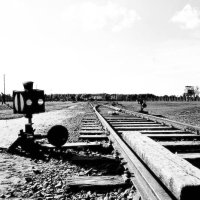 Polsko – foto 19