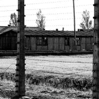 Polsko – foto 28