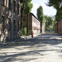 Polsko – foto 36