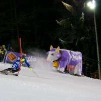 Slalom muži - závod světového poháru – foto 29