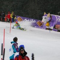 Slalom muži - závod světového poháru – foto 30