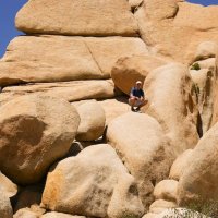 Tam kde nerostou Joshua Tree jsou jen takovéto skály