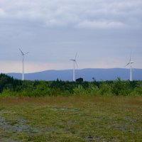 Morava – foto 7