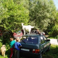 Nízké Tatry – foto 11
