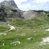 Konjsko sedlo a cesta na Vodnikov dom