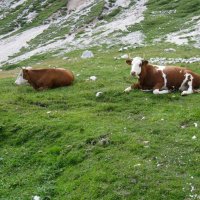 Výstup na Triglav – foto 6