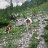 Výstup na Triglav – foto 5