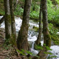 Národní parky Krka a Plitvická jezera – foto 14