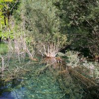 Národní parky Krka a Plitvická jezera – foto 20