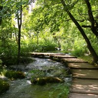 Národní parky Krka a Plitvická jezera – foto 24