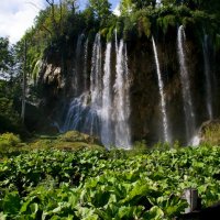 Národní parky Krka a Plitvická jezera – foto 26