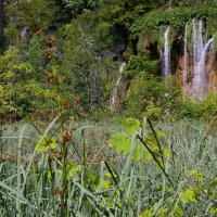 Národní parky Krka a Plitvická jezera – foto 28