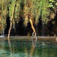 Národní parky Krka a Plitvická jezera – foto 34