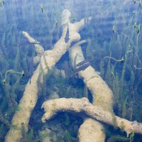 Národní parky Krka a Plitvická jezera – foto 36