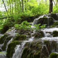 Národní parky Krka a Plitvická jezera – foto 44