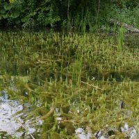 Národní parky Krka a Plitvická jezera – foto 45