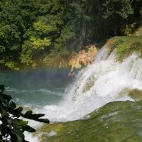 Skradinské vodopády (Skradinski buk)
