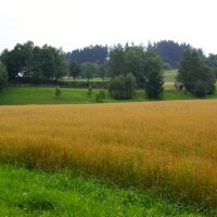 Pohled na nedaleké hradiště v Rakousku.