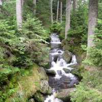 Národní park Šumava – foto 14
