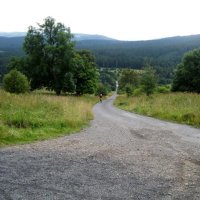 Národní park Šumava – foto 16