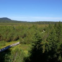 Národní park Šumava – foto 1