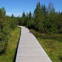 Národní park Šumava