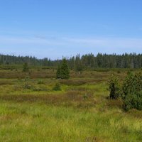 Národní park Šumava – foto 3
