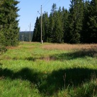 Národní park Šumava – foto 4