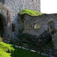 Národní park Šumava – foto 6