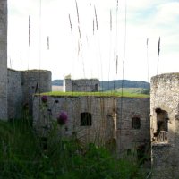 Národní park Šumava – foto 12