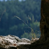 Národní park Šumava – foto 19