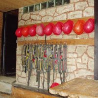 Nízké Tatry – foto 52