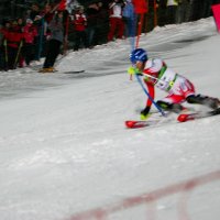 Závod světového poháru - slalom muži – foto 52