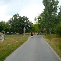 In-line skating – Lužická jezera – foto 7