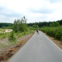 In-line skating – Lužická jezera – foto 17