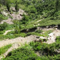 Coma Pedrosa – foto 3