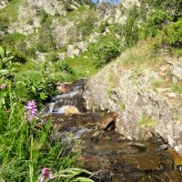 Coma Pedrosa – foto 4