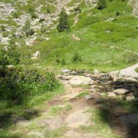 Coma Pedrosa – foto 5