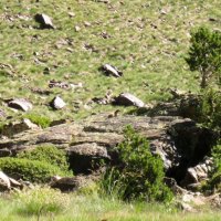 Coma Pedrosa – foto 11