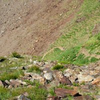 Coma Pedrosa – foto 15